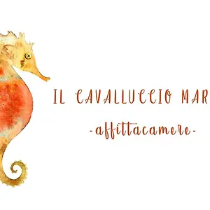 Il Cavalluccio Marino Guest house